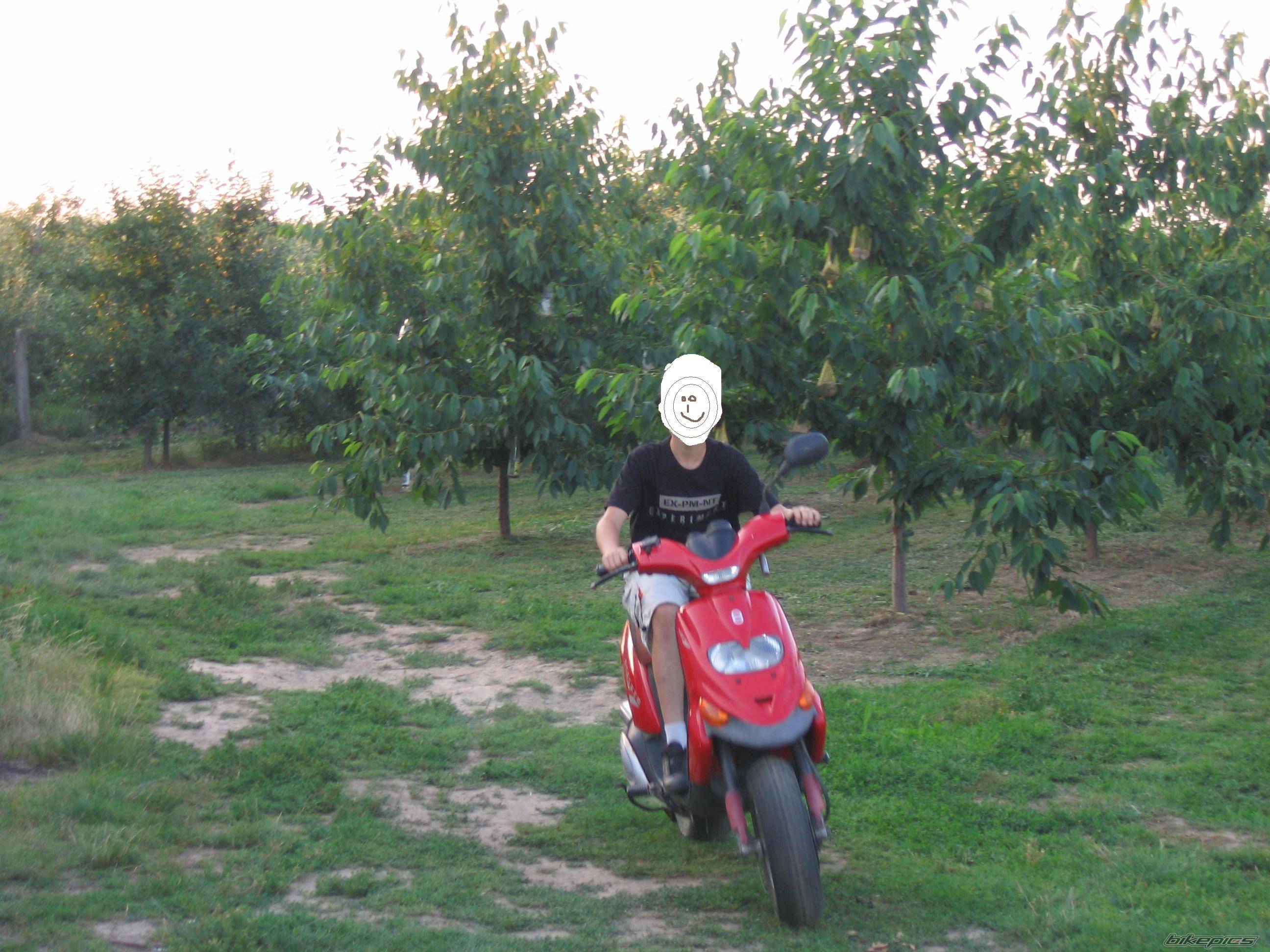 Photo 479574
