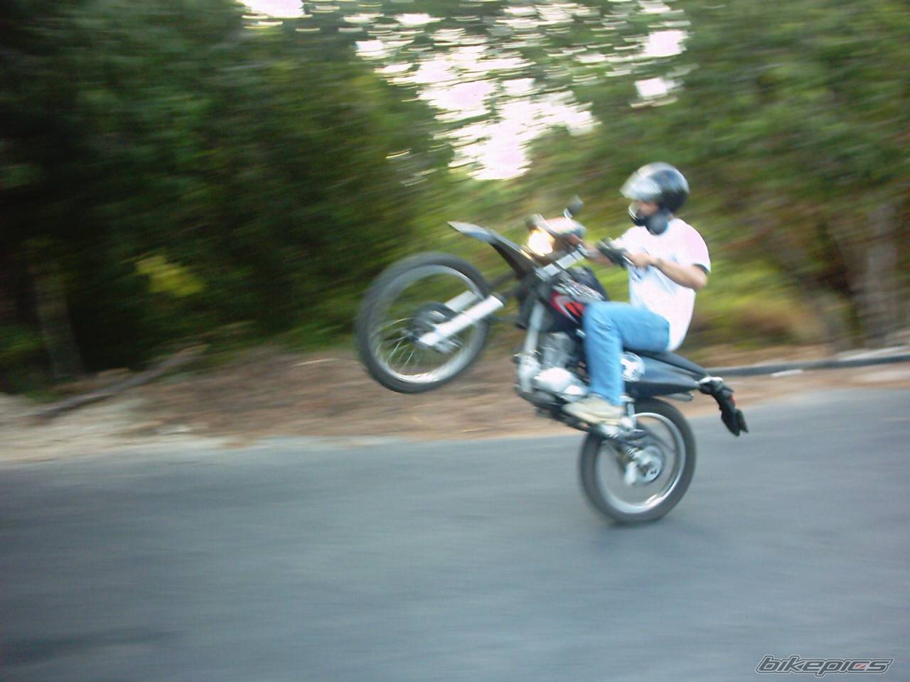 Photo 479599
