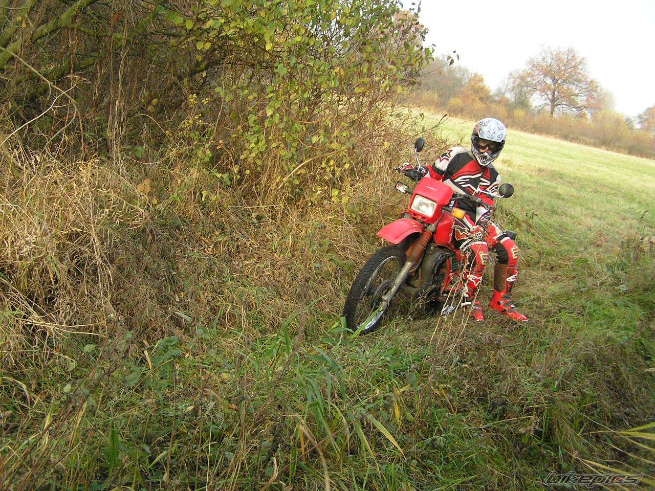 Photo 479611