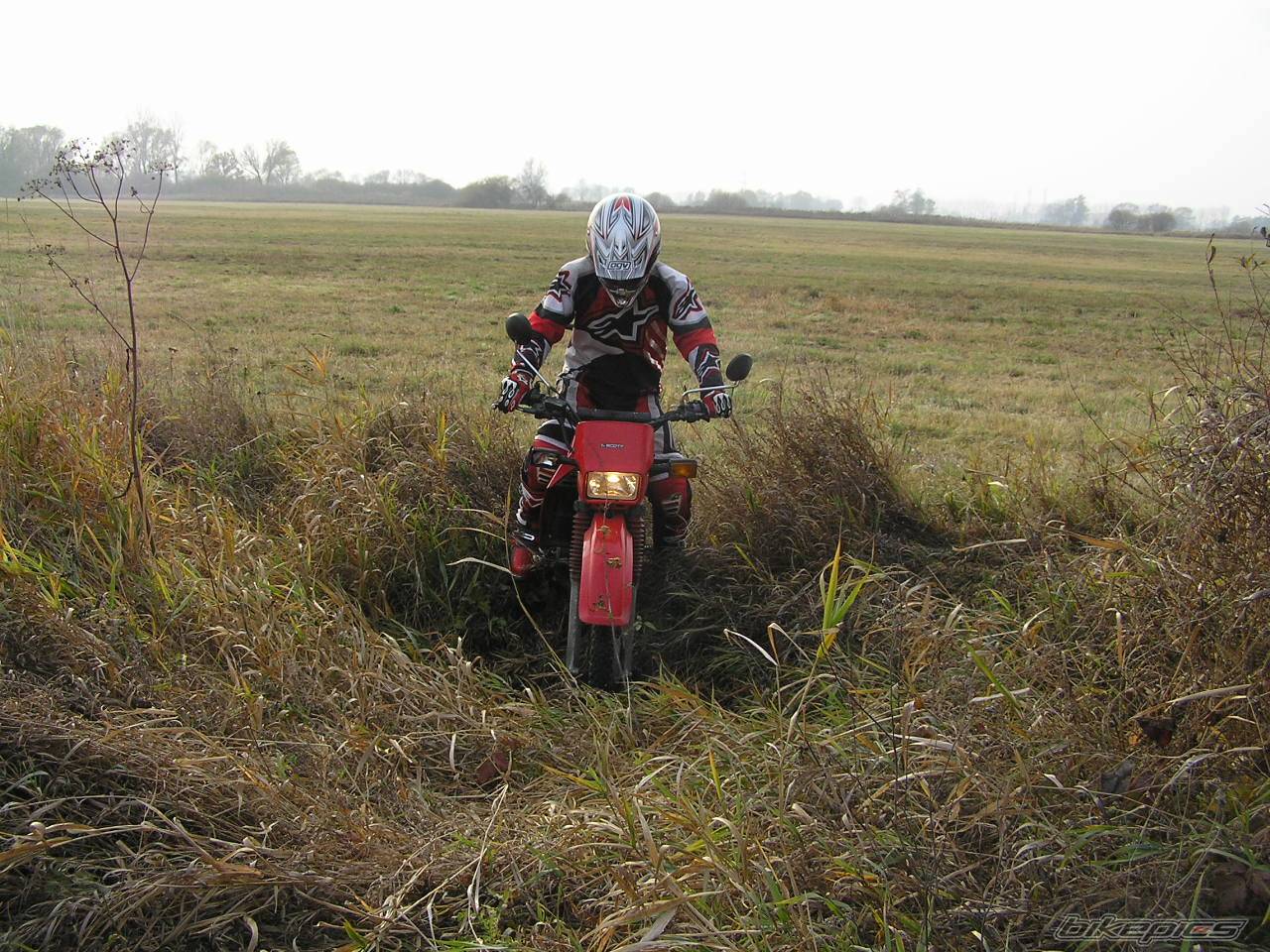Bike Photo 479615