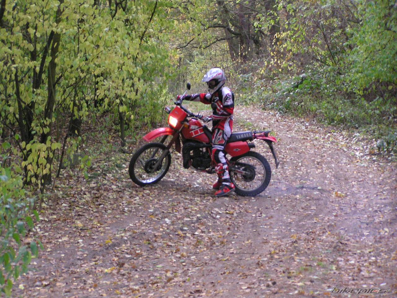 Bike Photo 479621