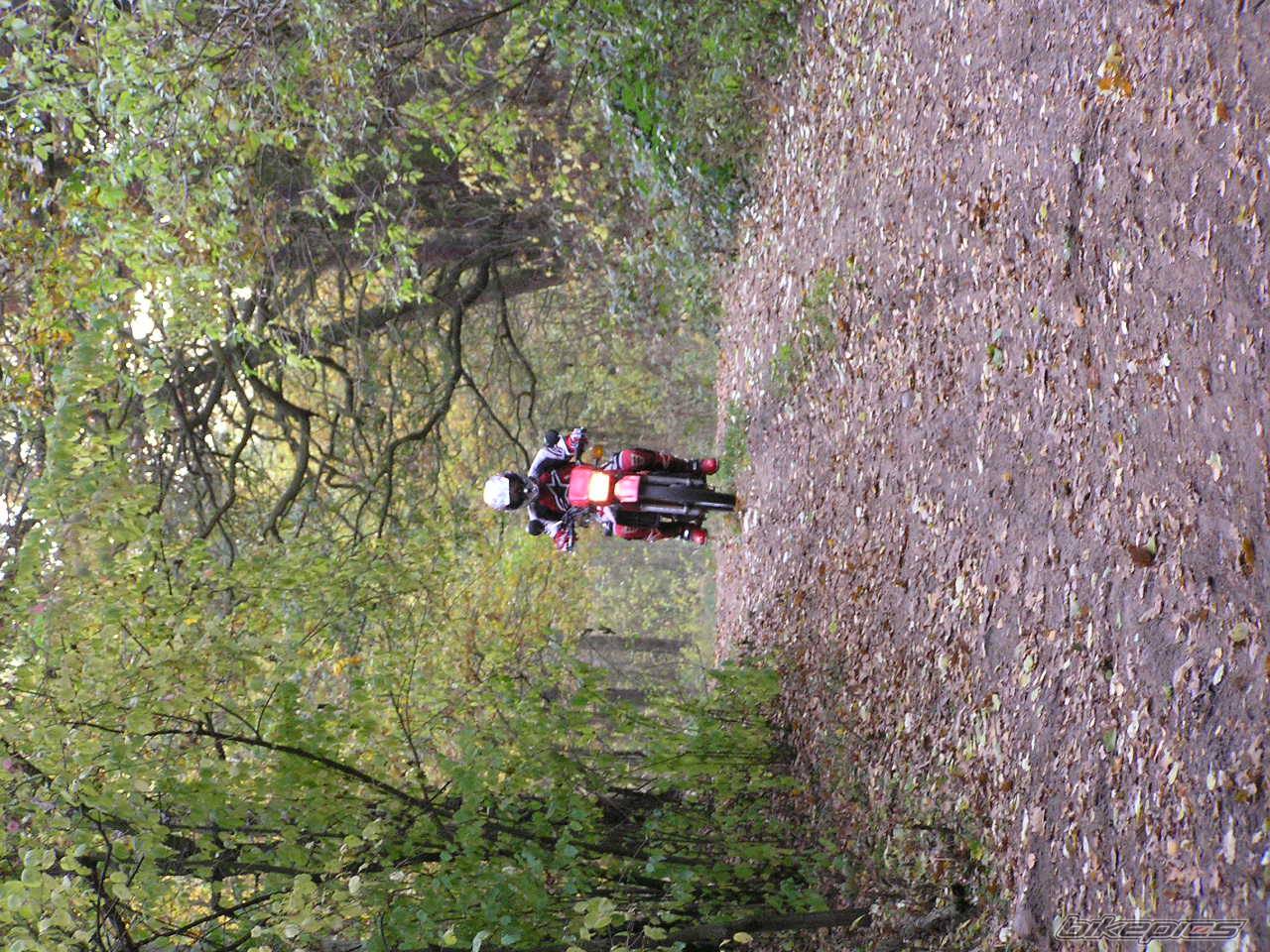 Bike Photo 479625