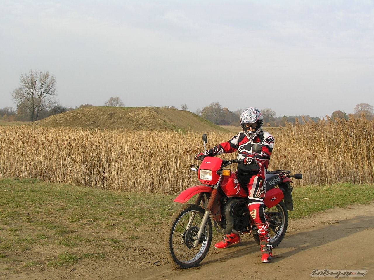 Bike Photo 479632
