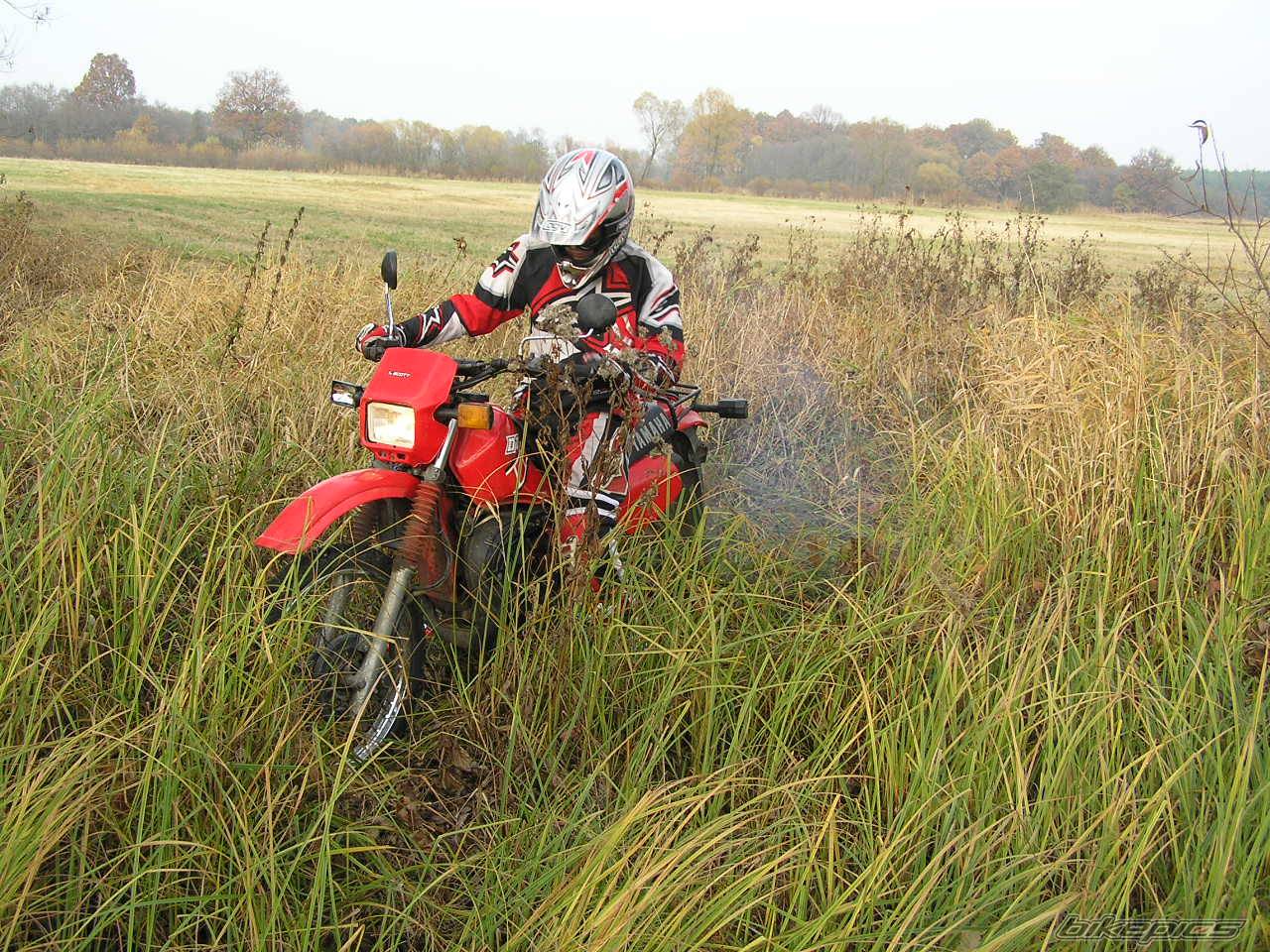Bike Photo 479645