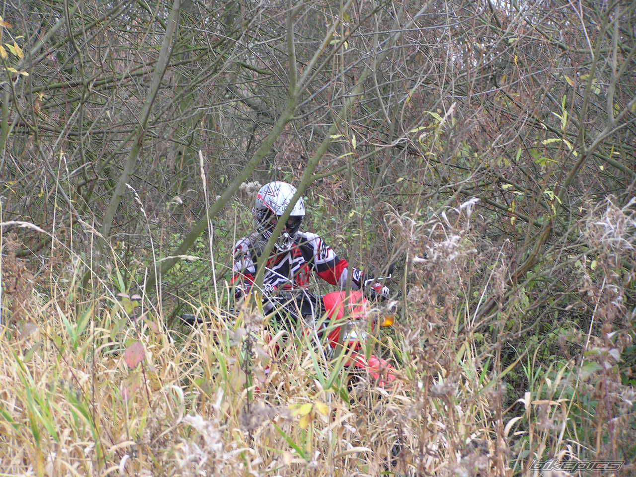 Bike Photo 479648