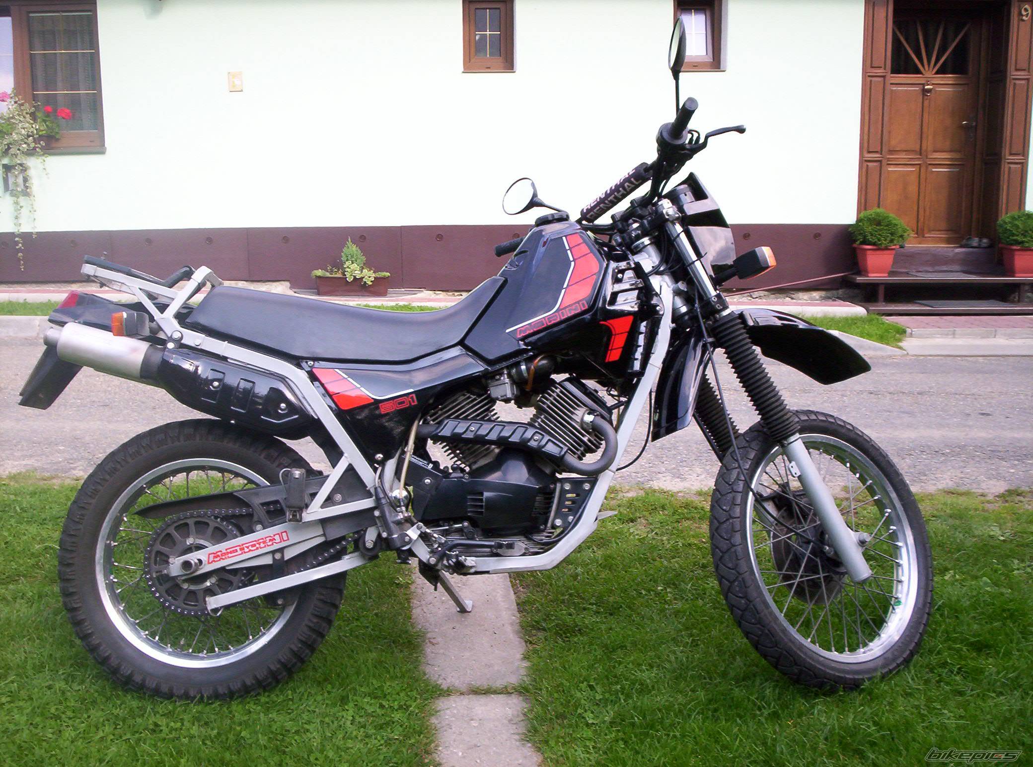 Camel 500