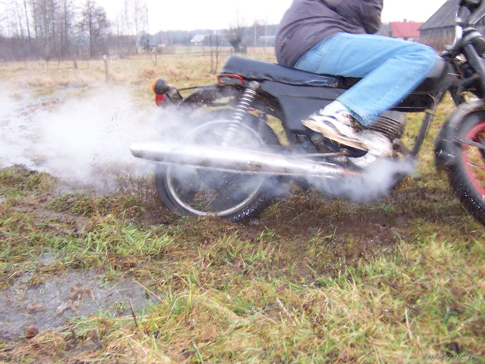 Photo 479776