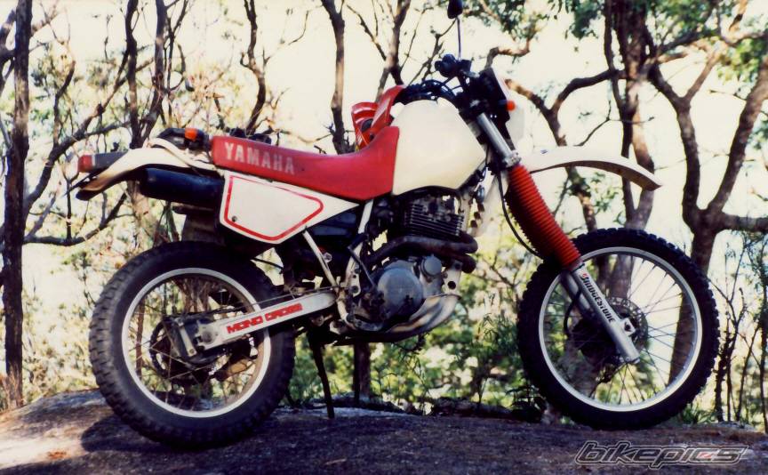 Bike Photo 479844