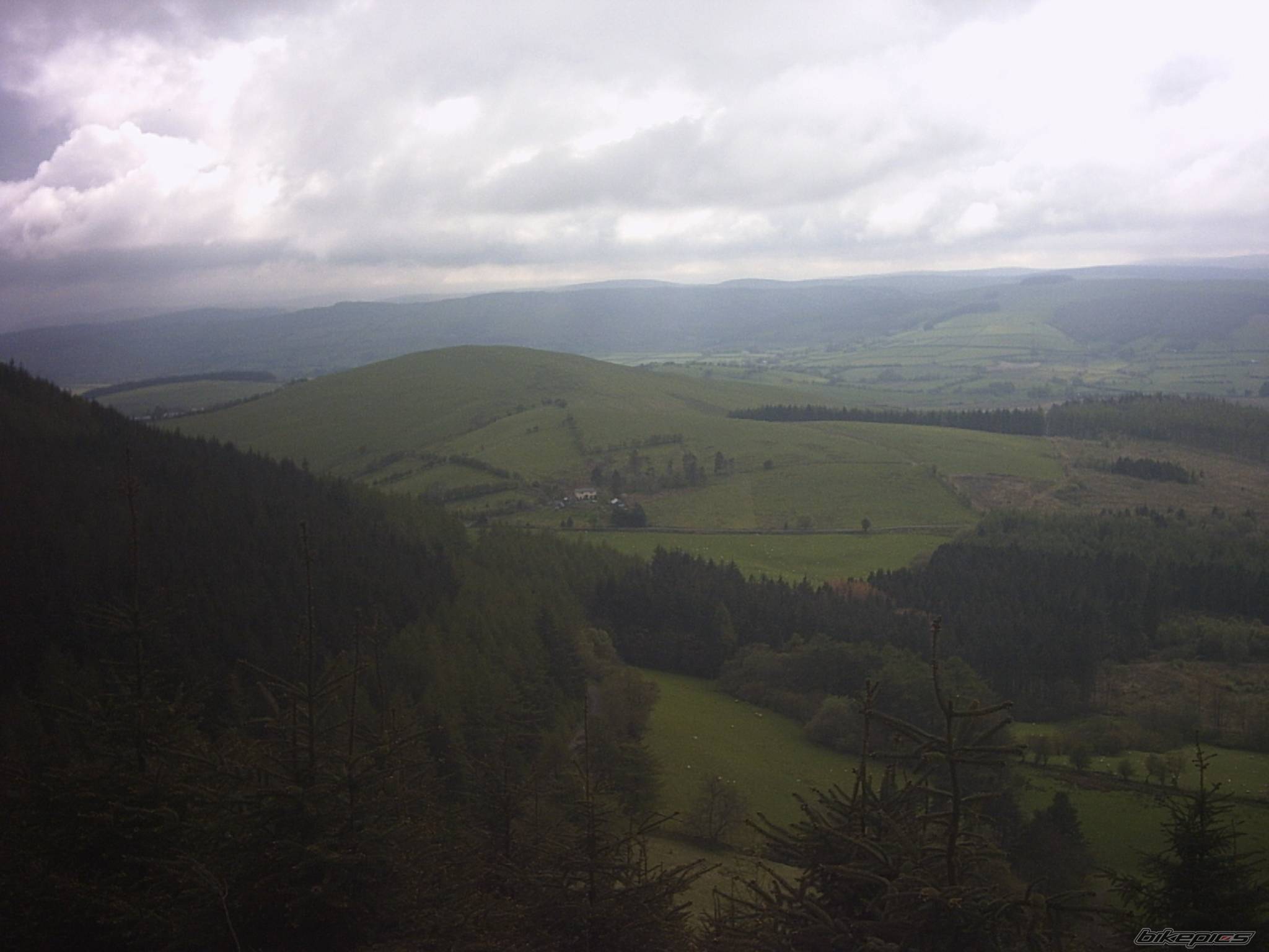 Photo 479858
