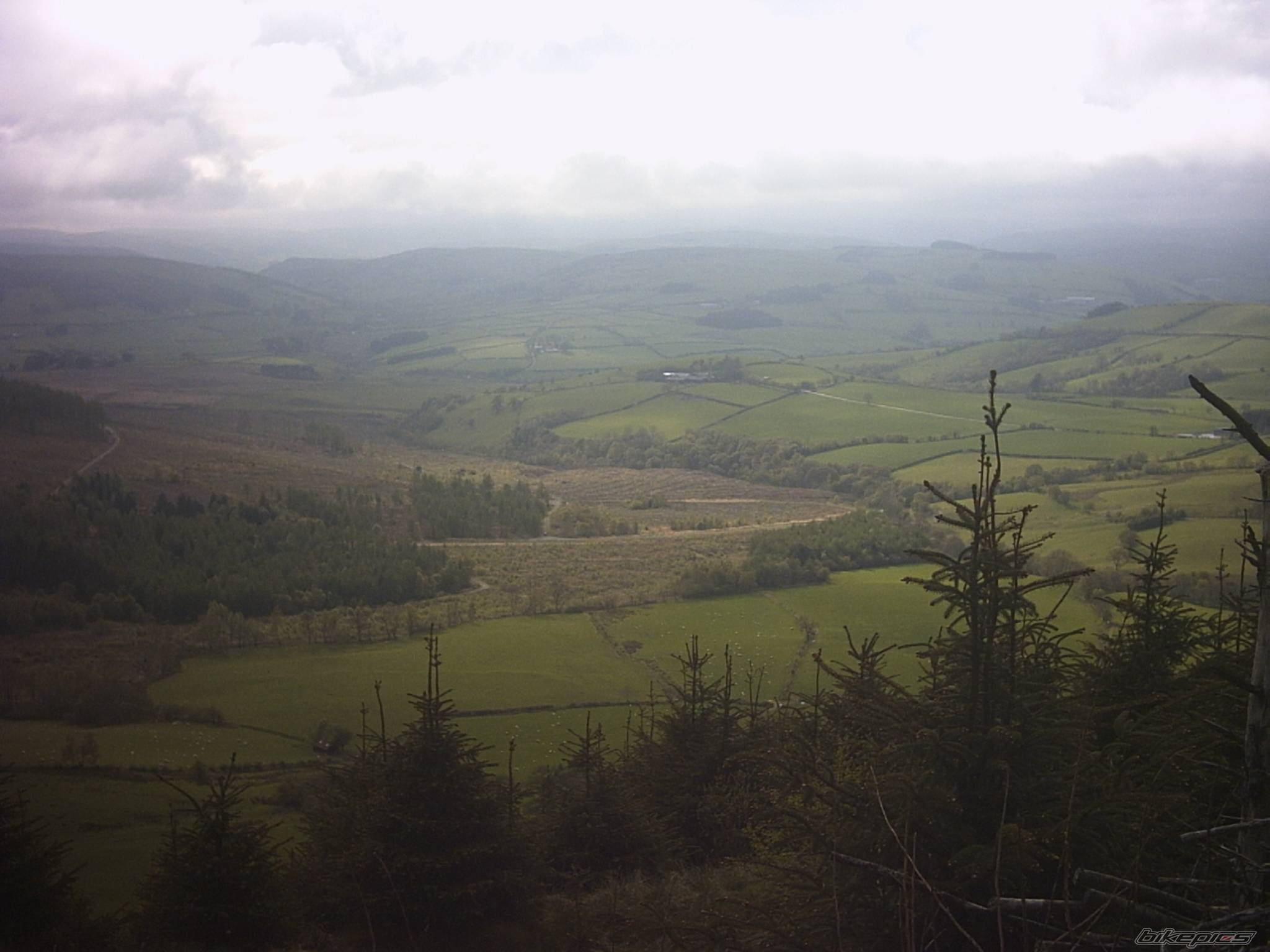 Photo 479861