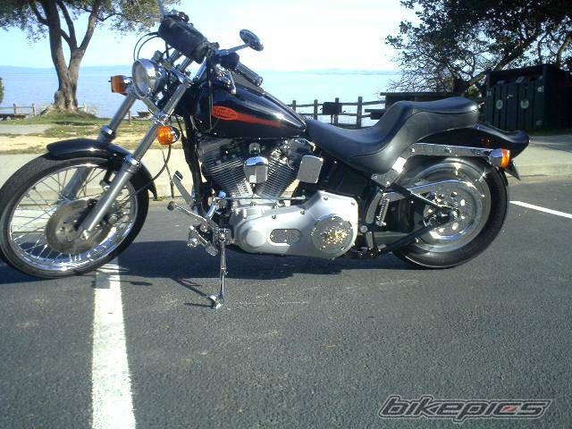 Photo 479927