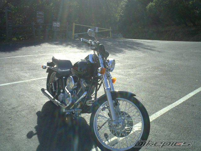 Photo 479929