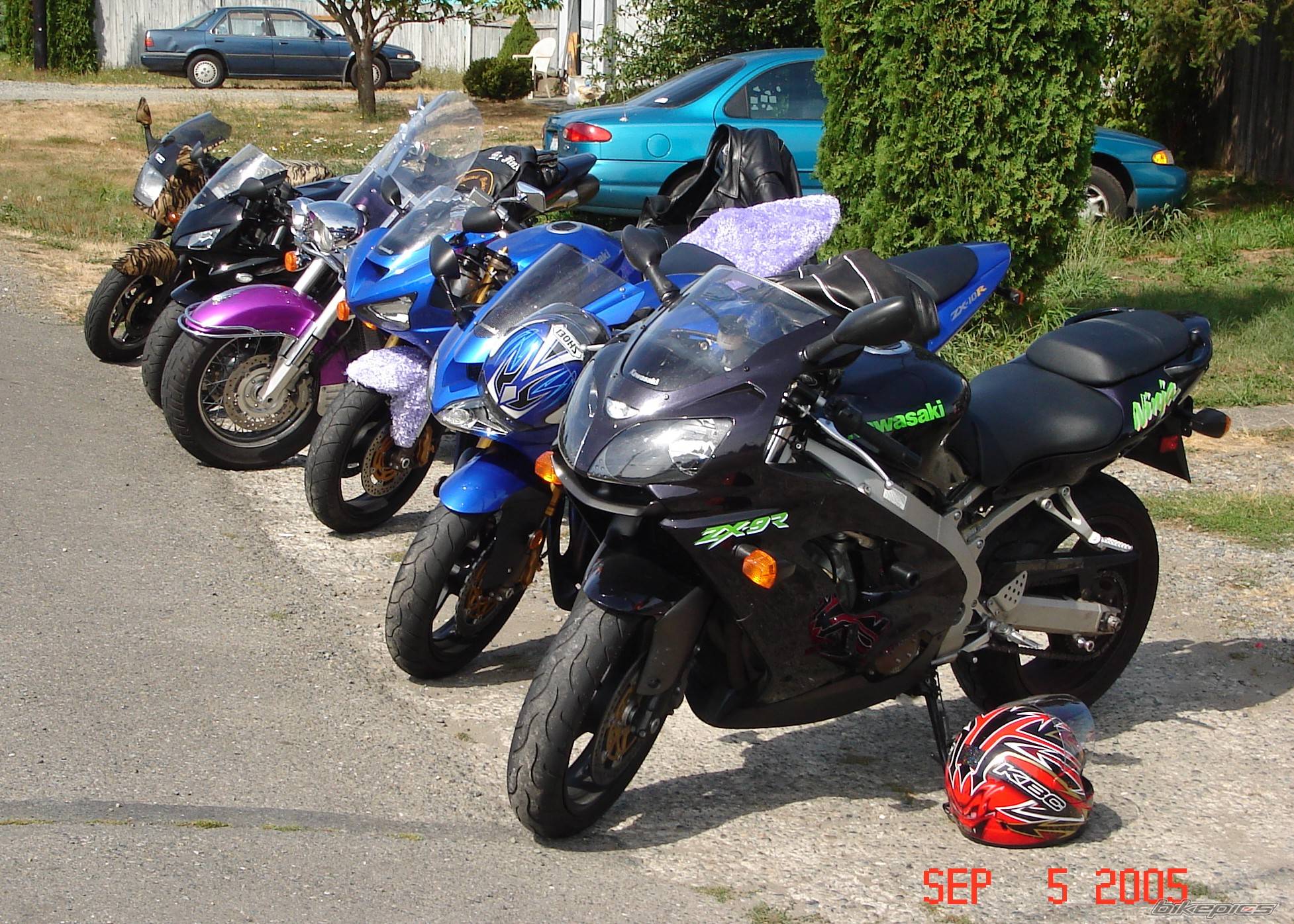 Photo 479970