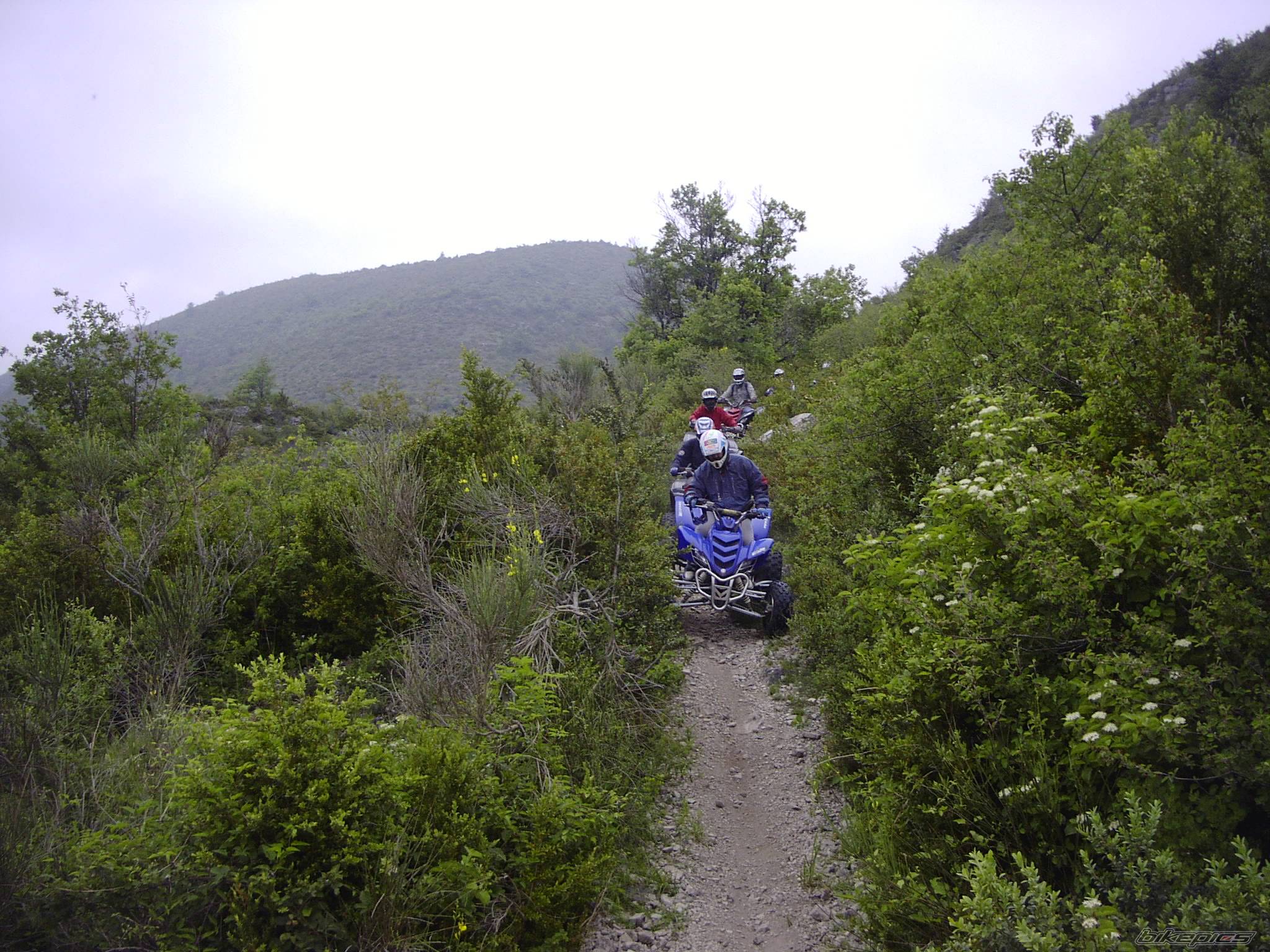 Bike Photo 48001