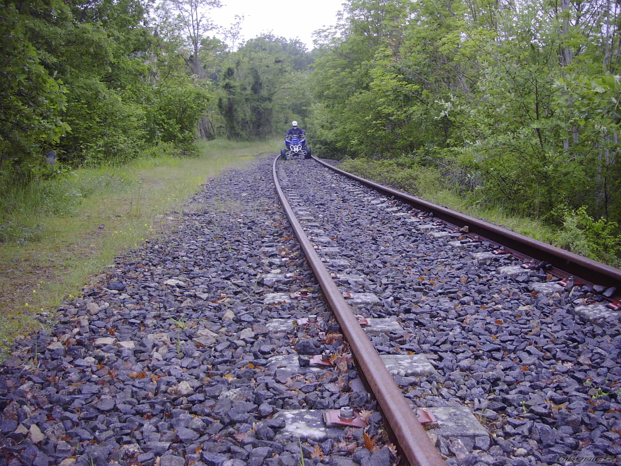 Photo 48006