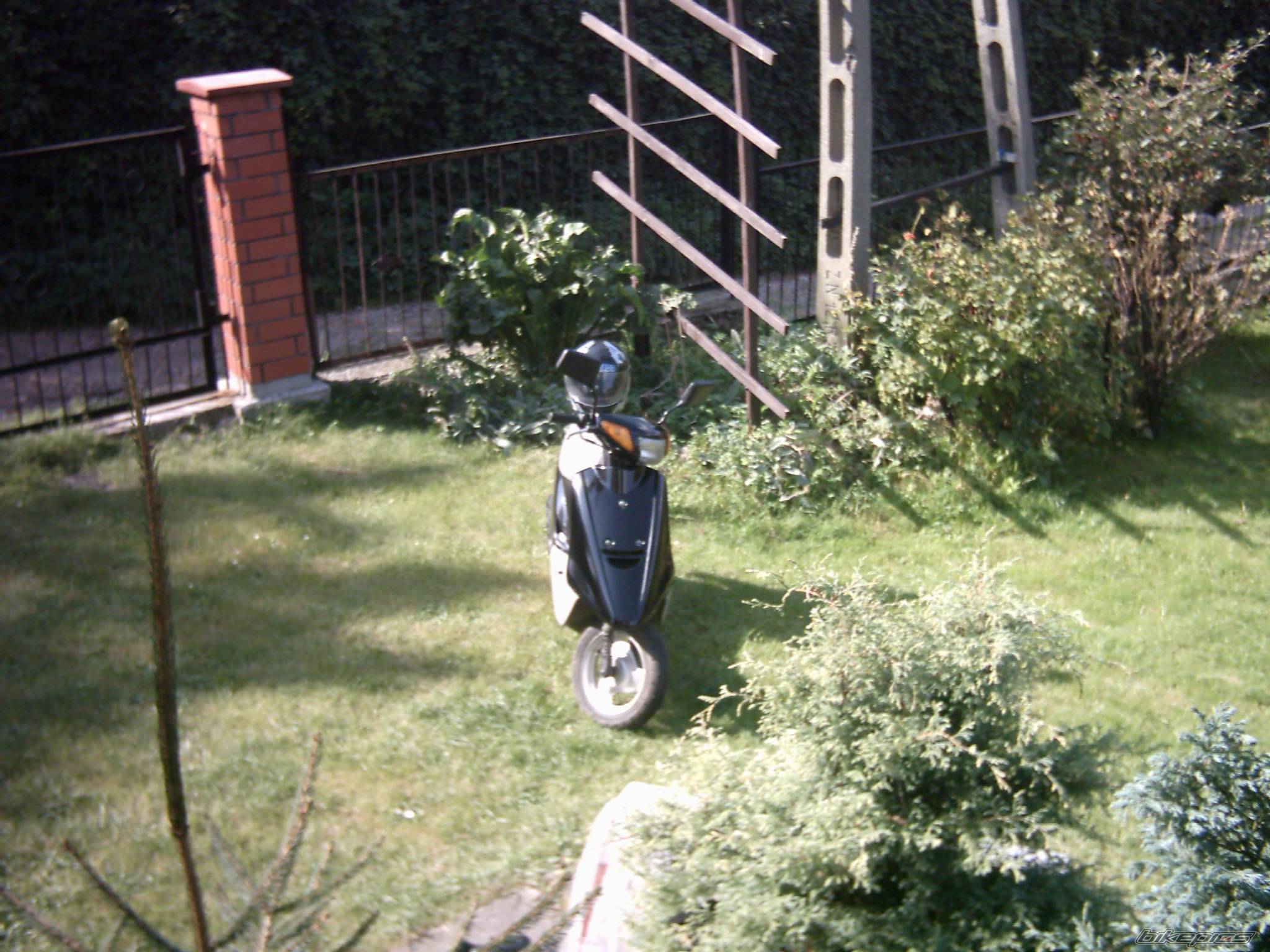 Photo 480091