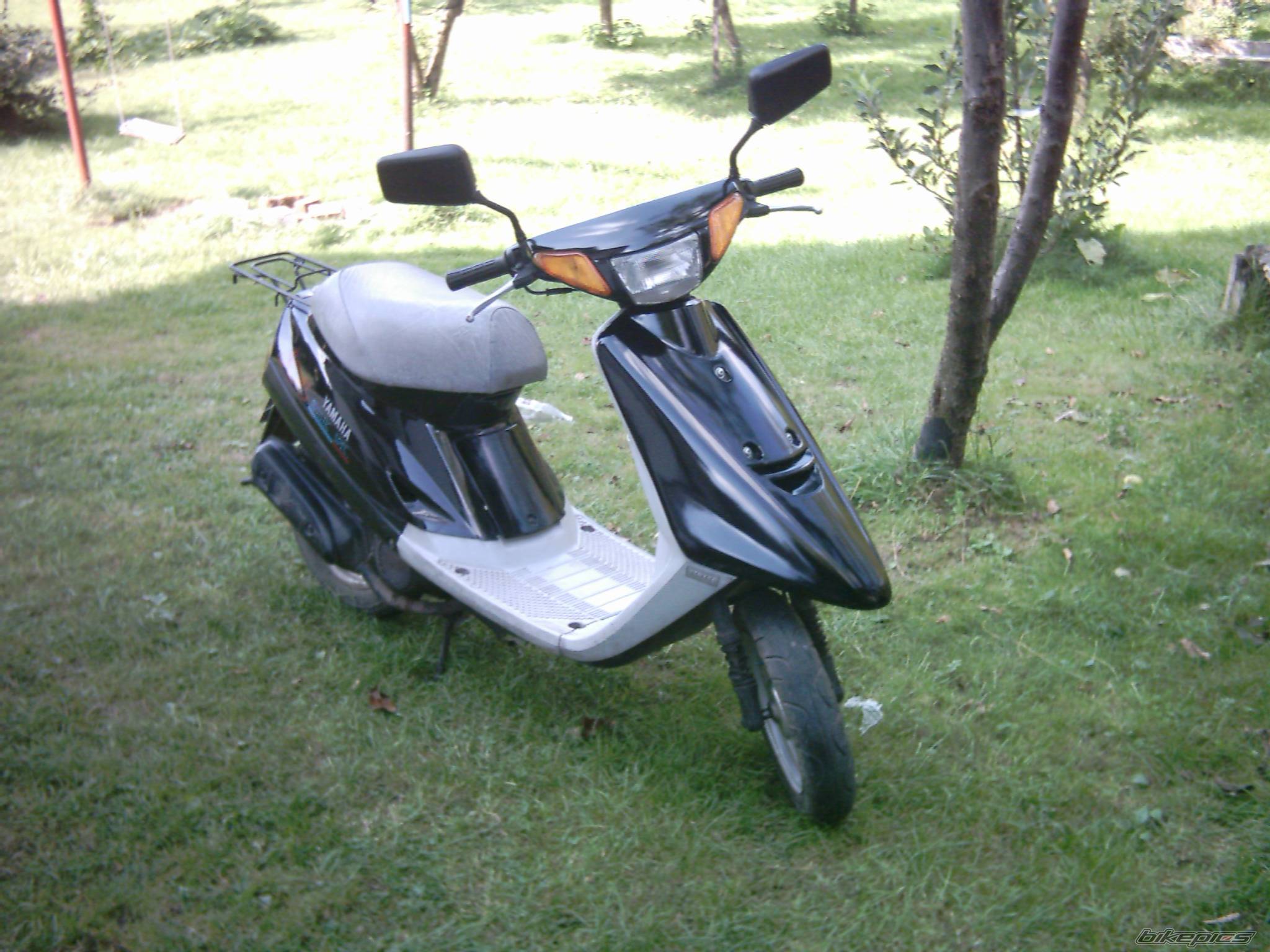 Photo 480095
