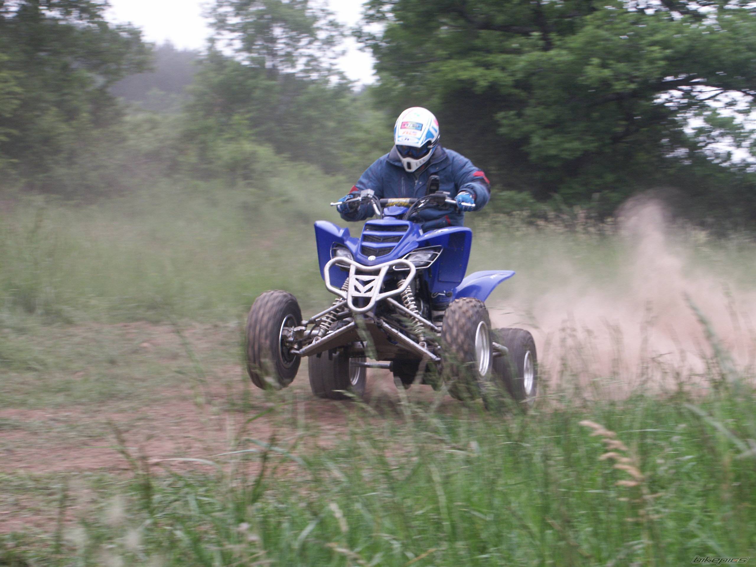 Photo 48010