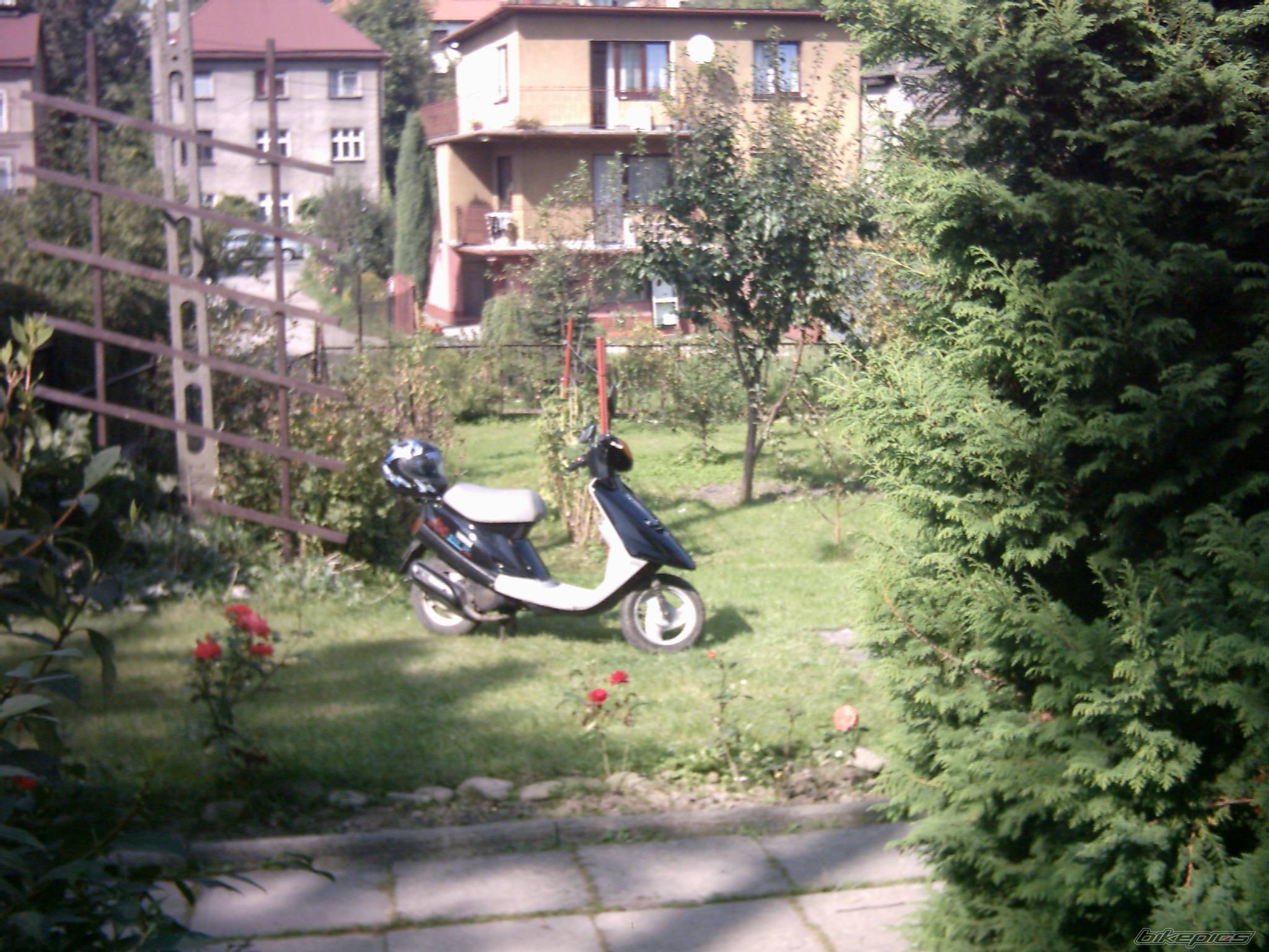 Photo 480106