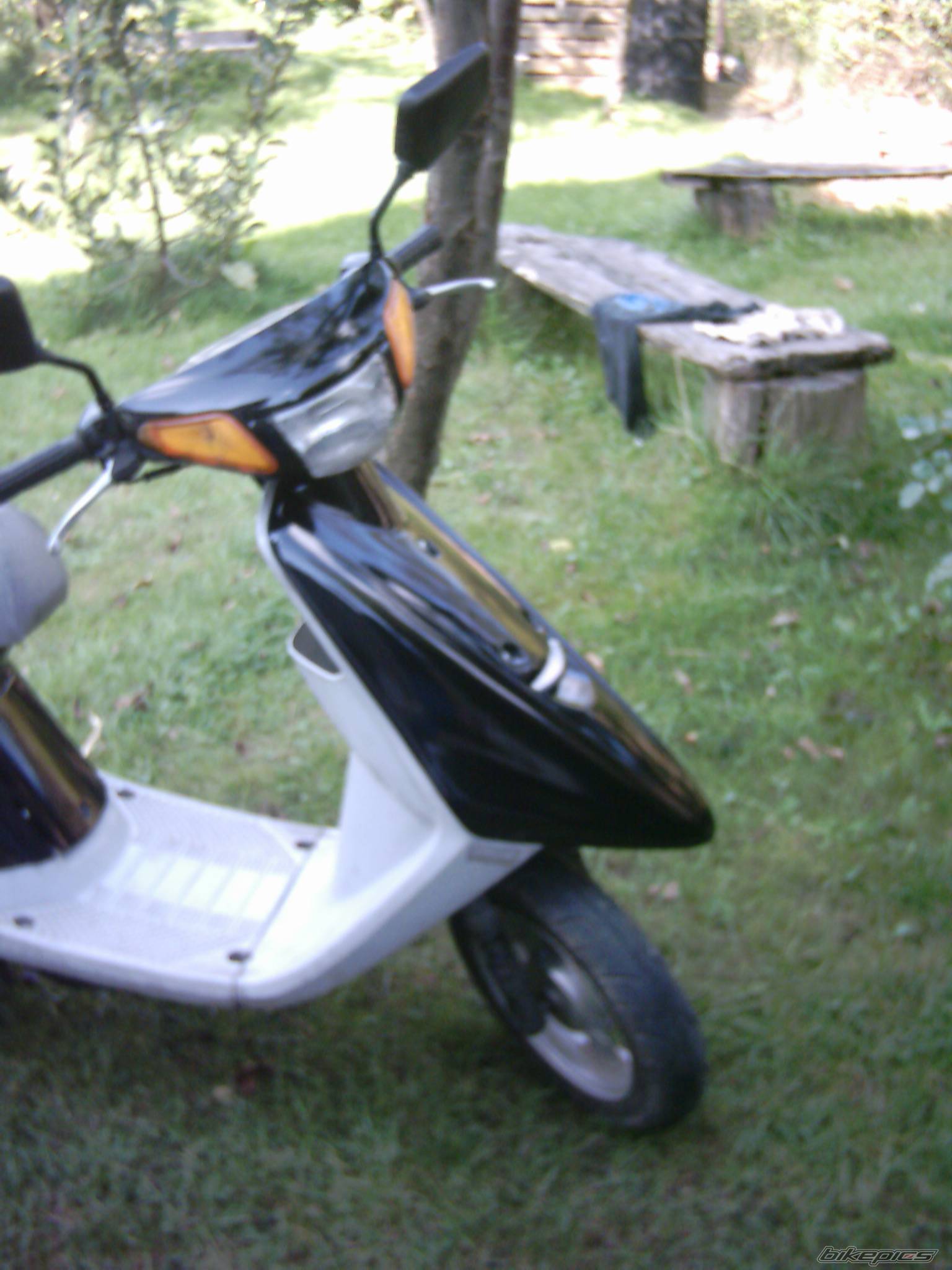 Photo 480111