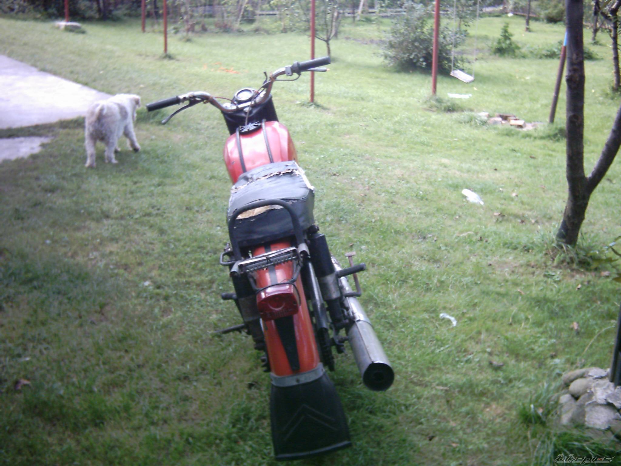 Photo 480121