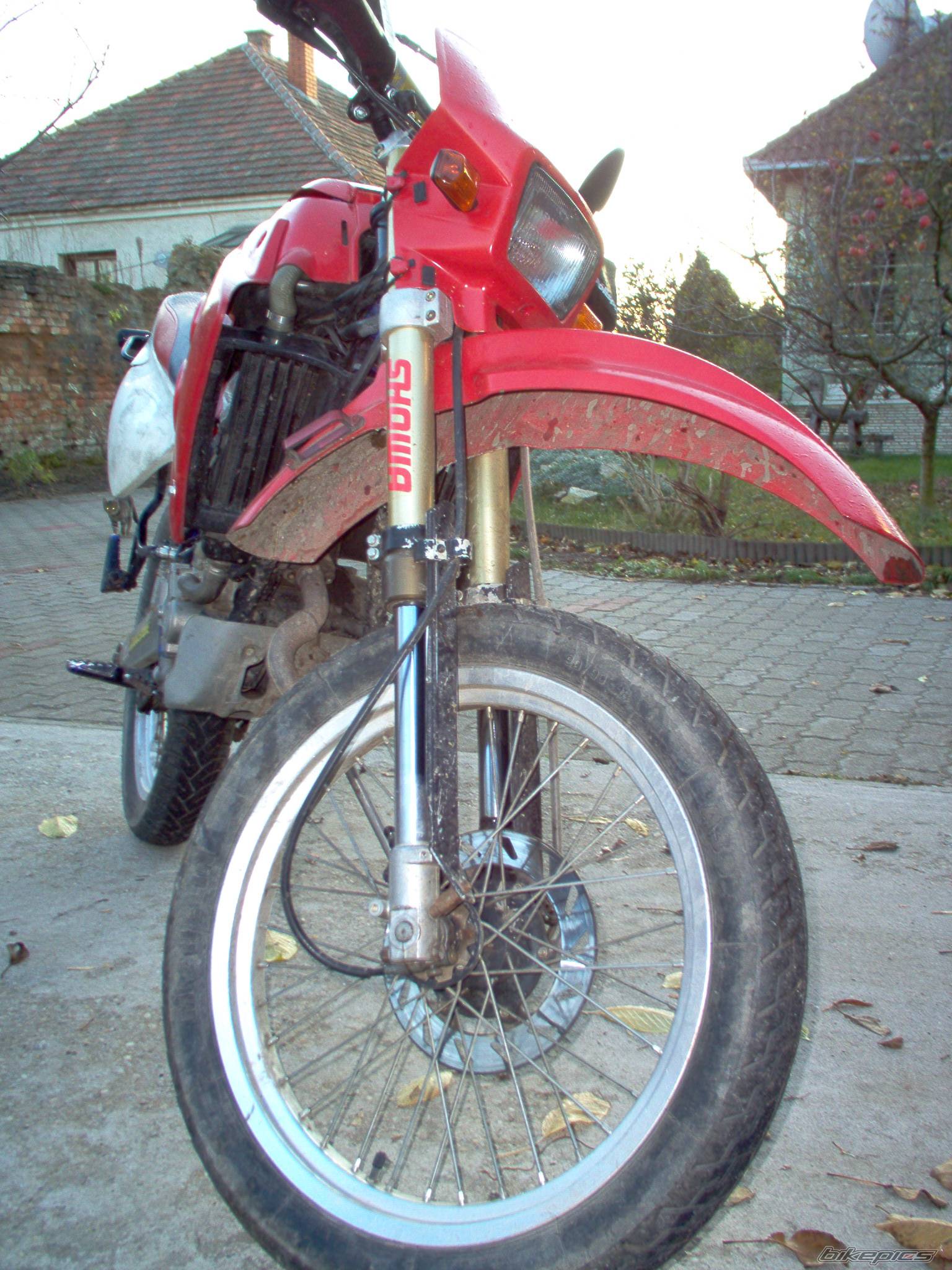 Bike Photo 480313
