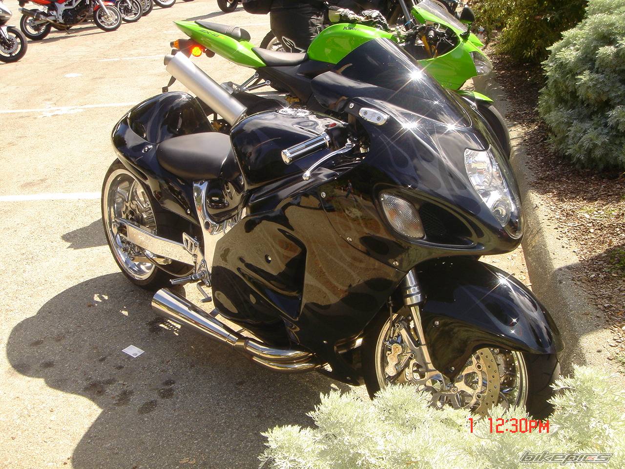 Photo 480379