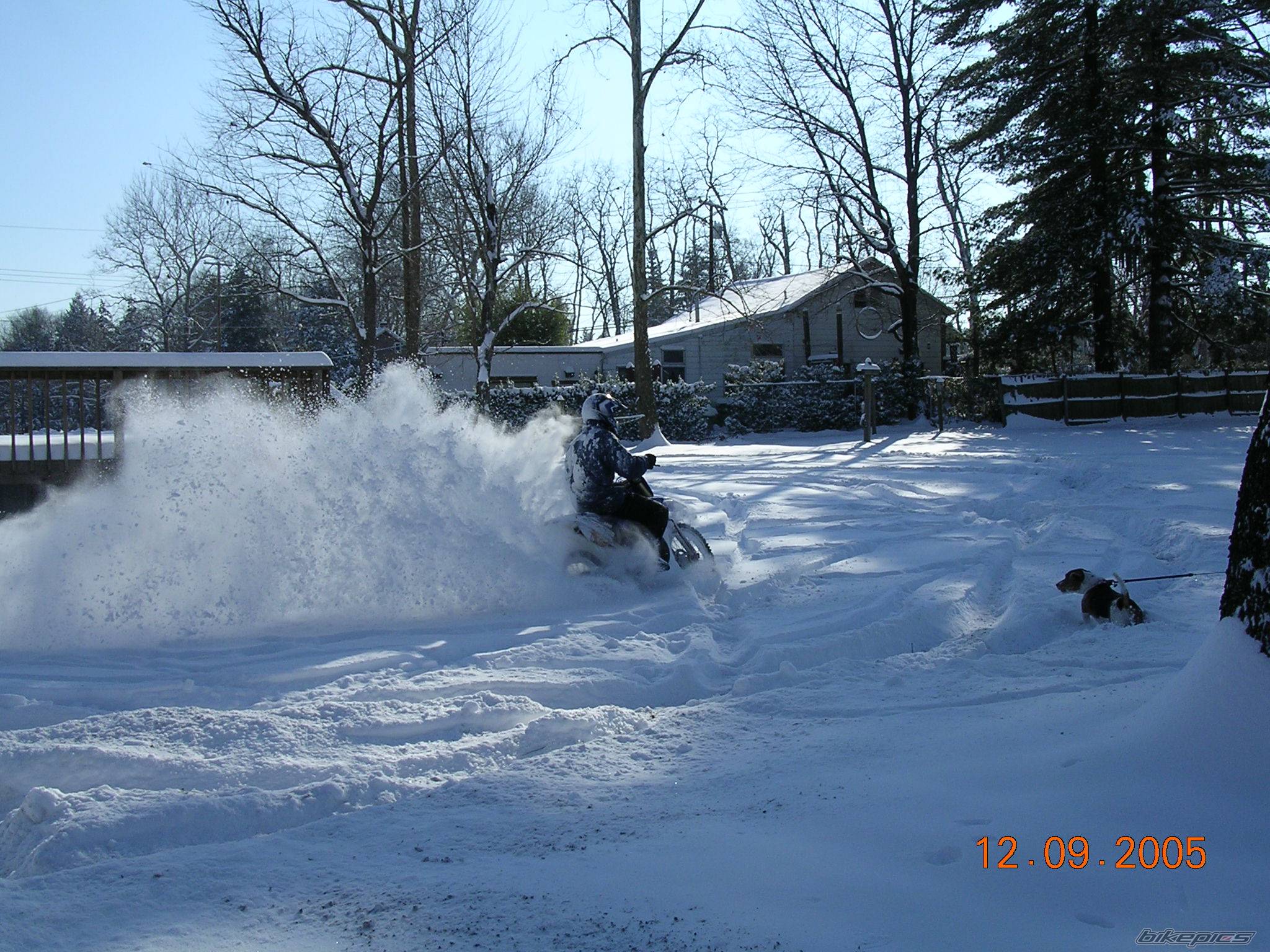 Photo 480408