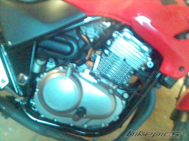 Bike Photo 480612