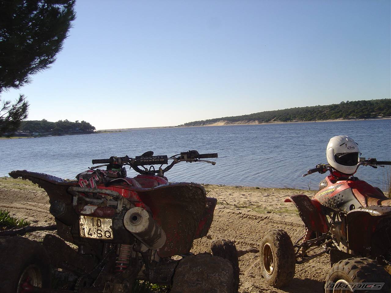 Photo 480968