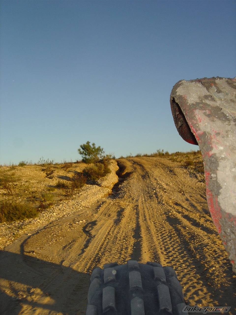 Photo 480980