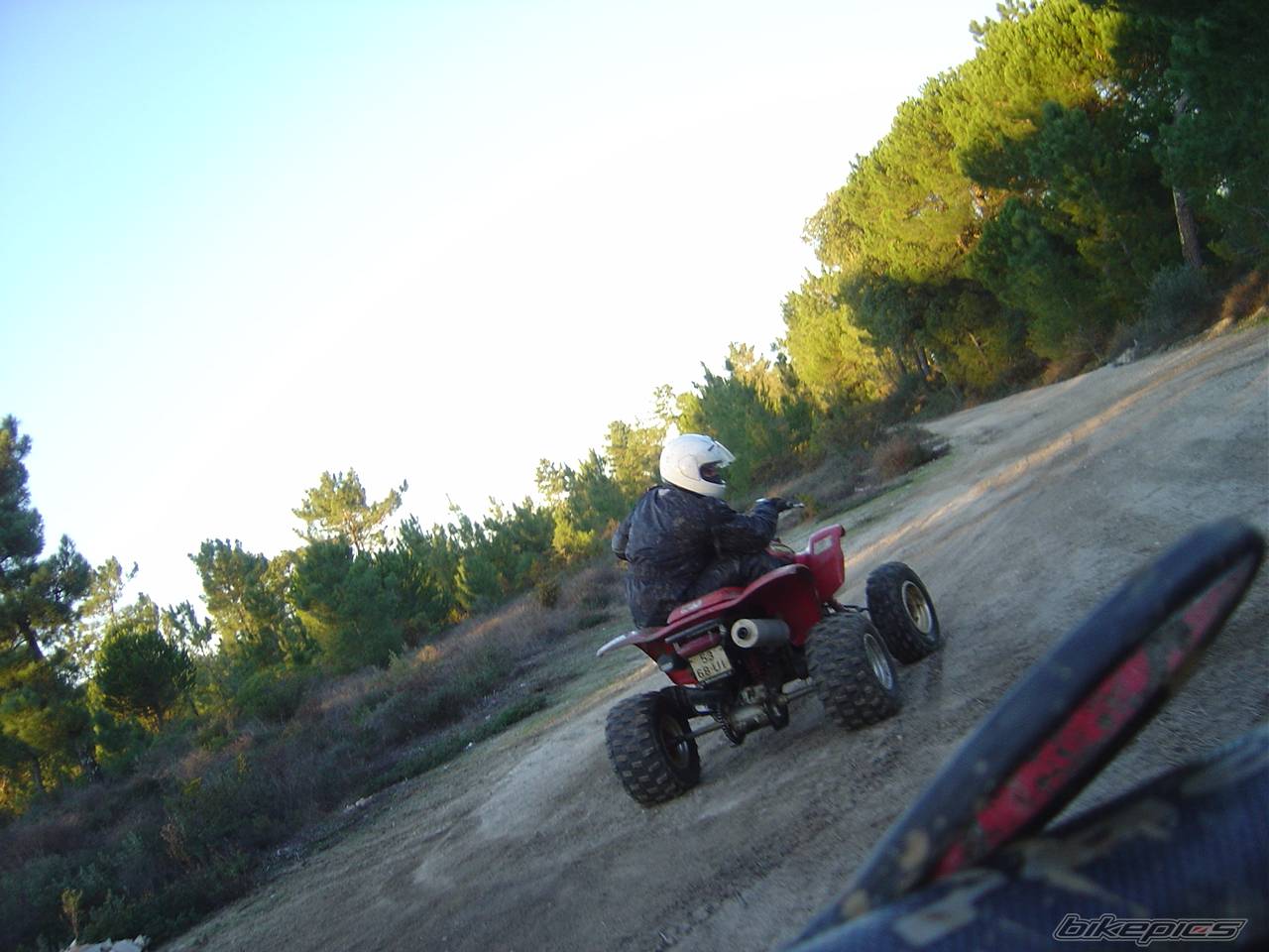 Photo 480985