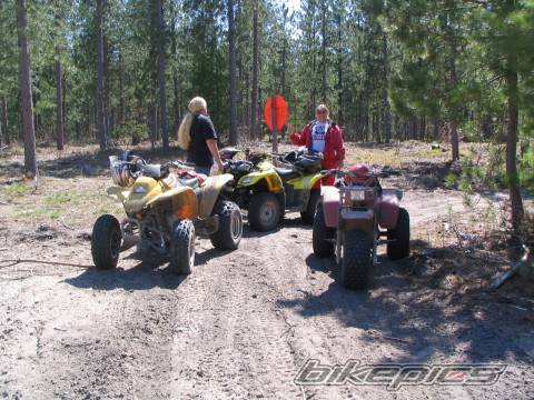 Photo 481011