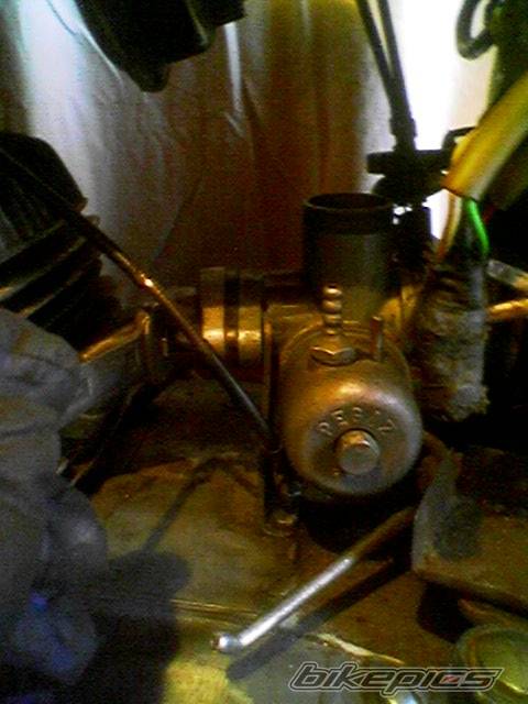 Photo 481337
