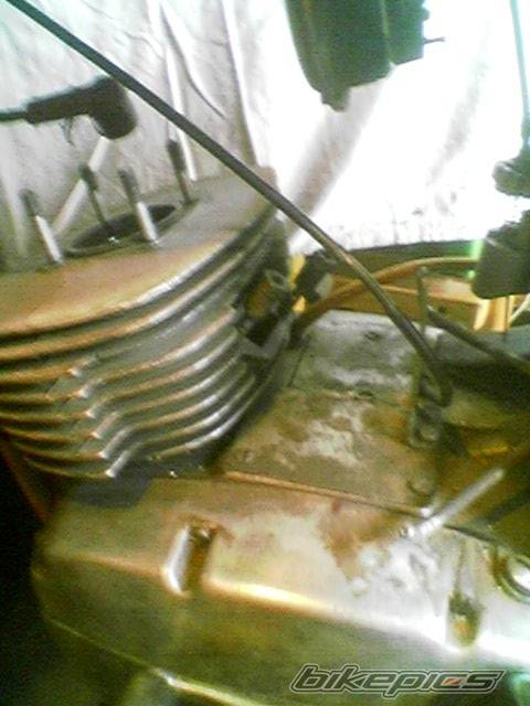 Photo 481338