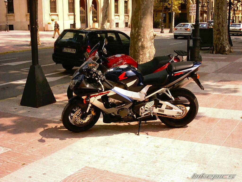Photo 481341