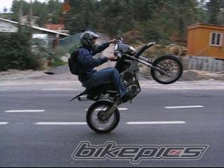 Bike Photo 481379
