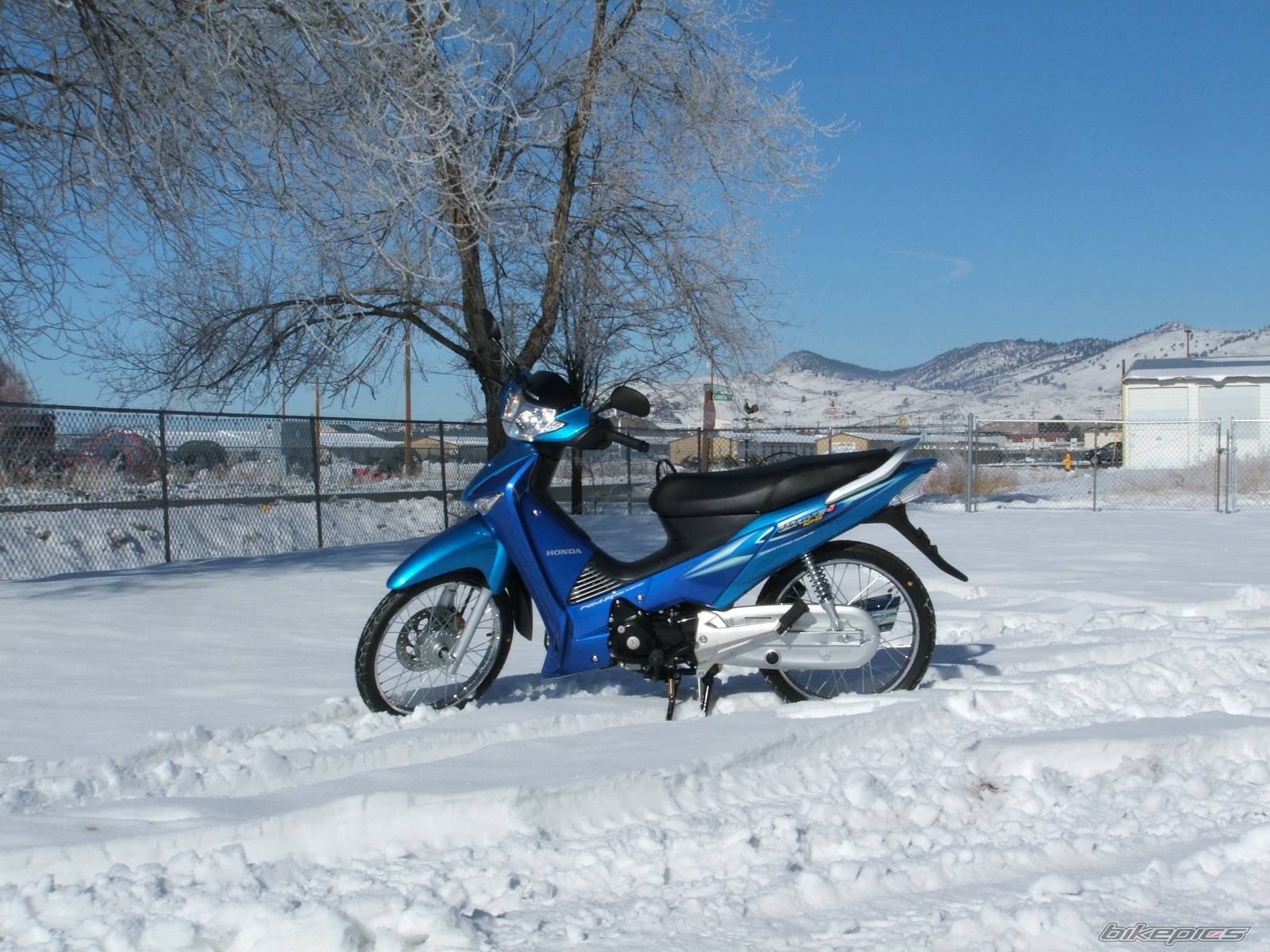 Bike Photo 481484