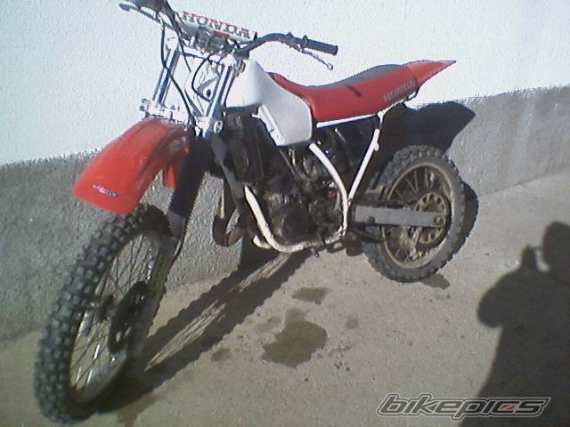 Photo 481492