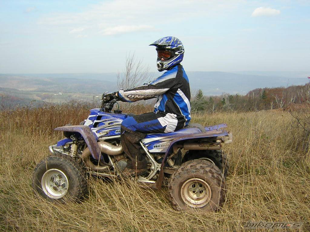 Photo 481532