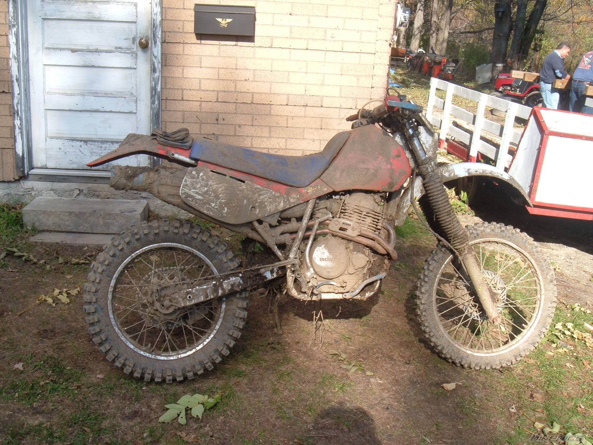 Photo 481572