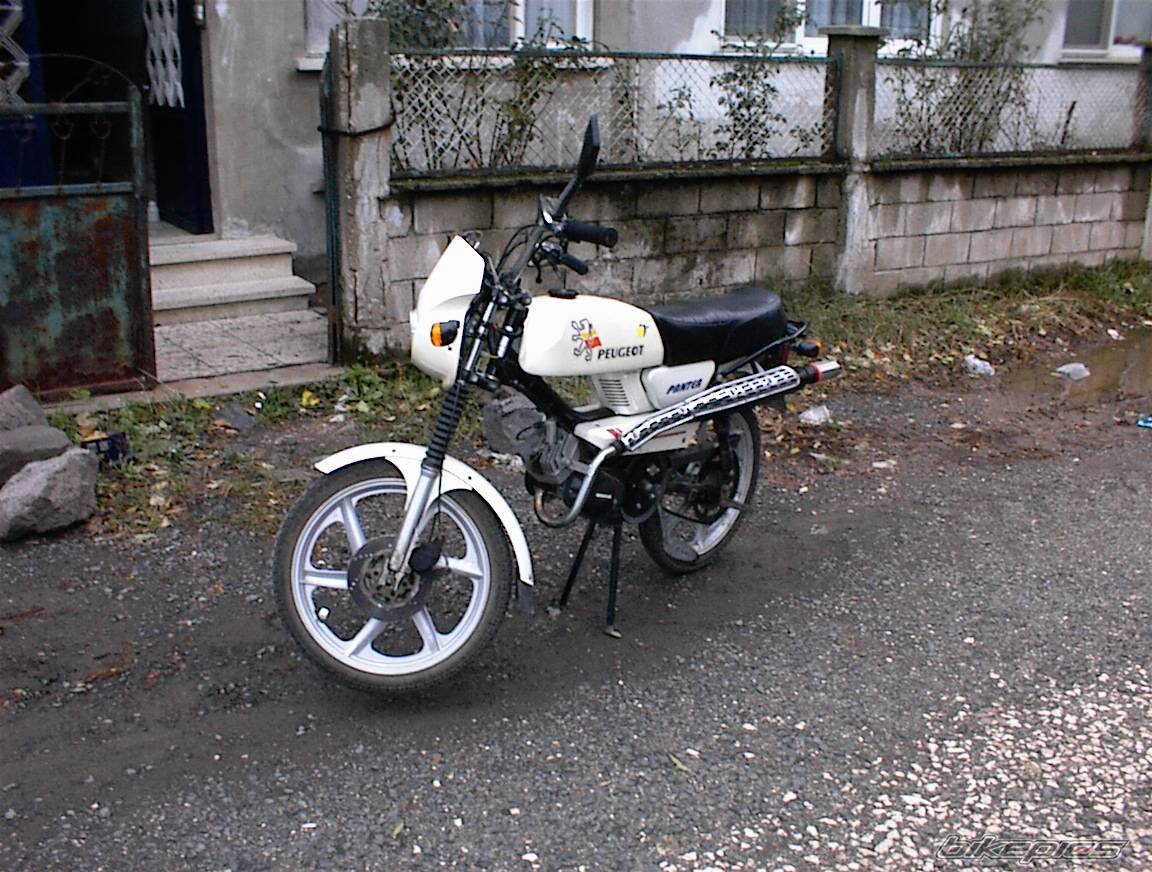 Photo 481784