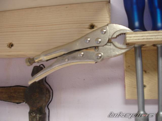 Photo 481832