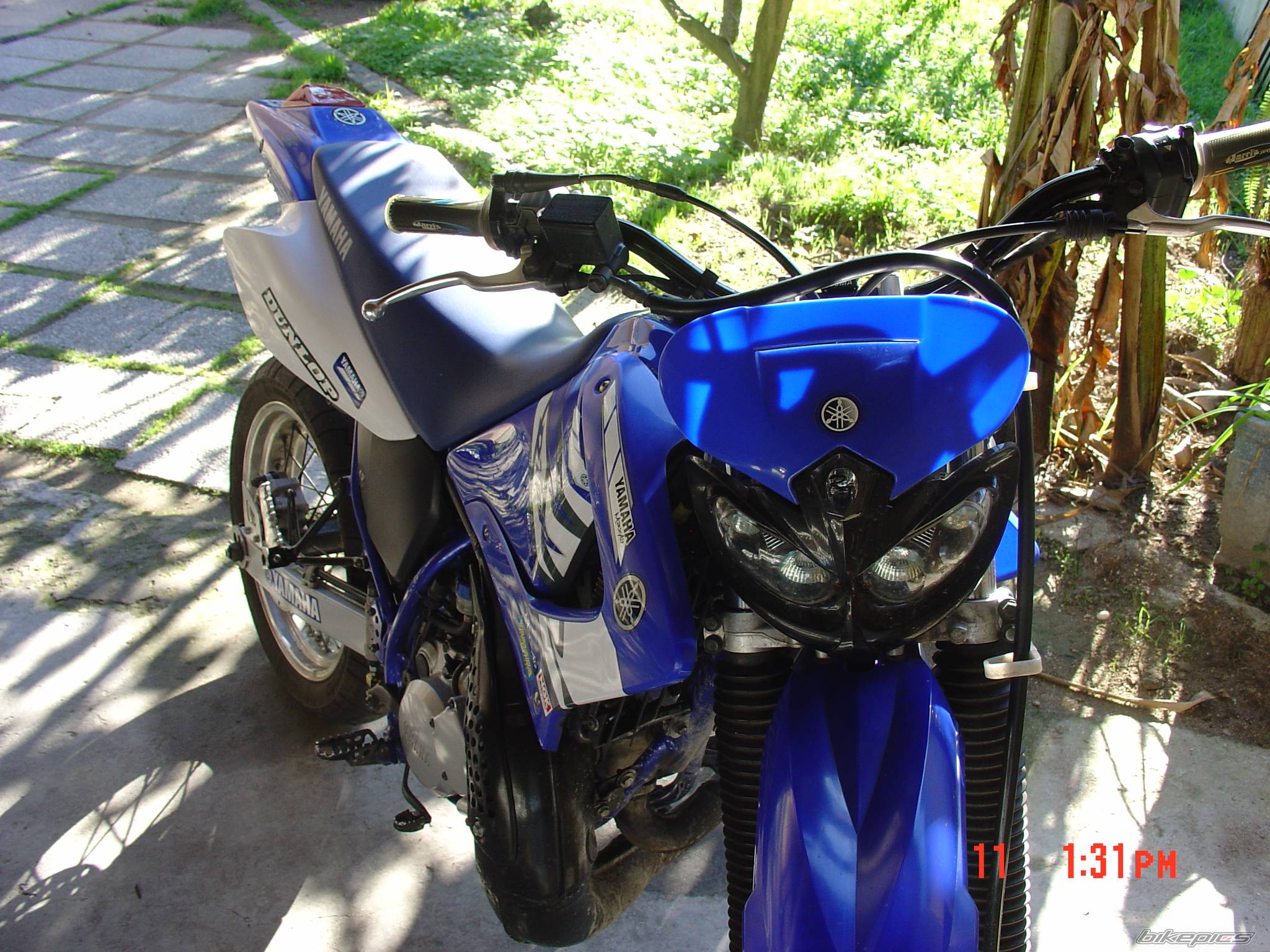 Bike Photo 481970