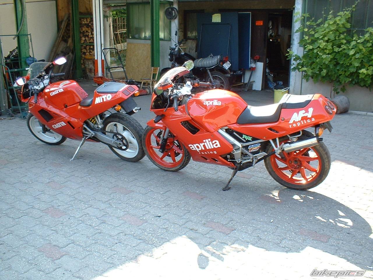 Bike Photo 48204