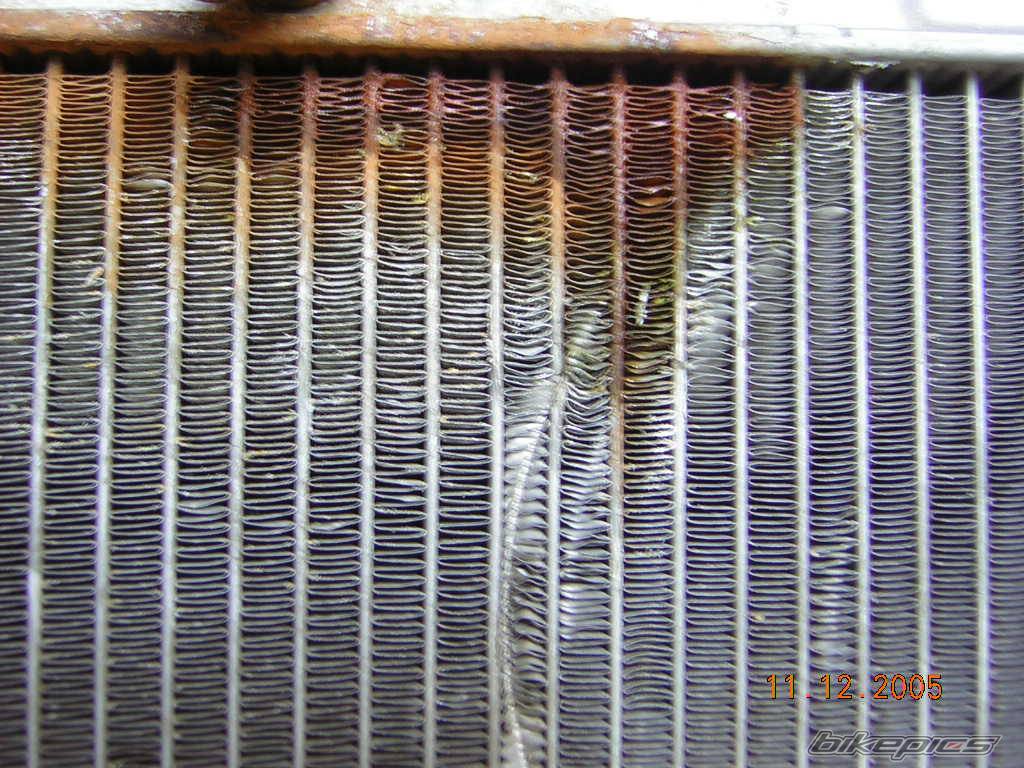 Photo 482051