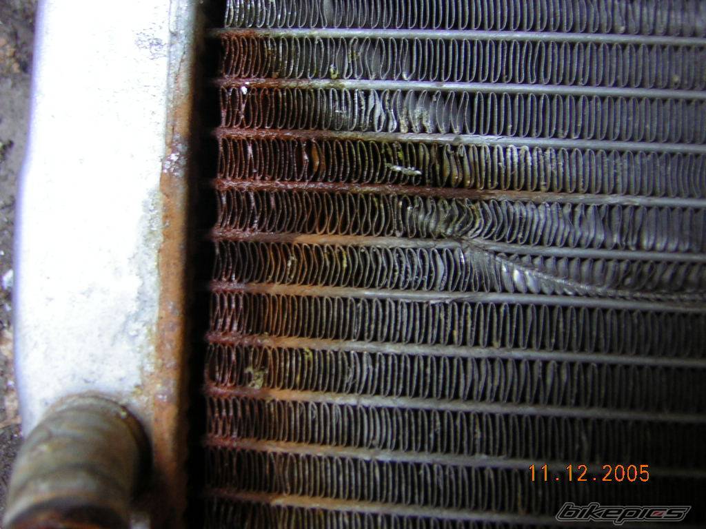 Photo 482052