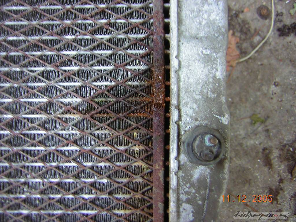 Photo 482055