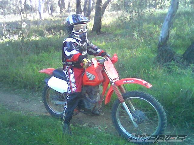 Photo 482156