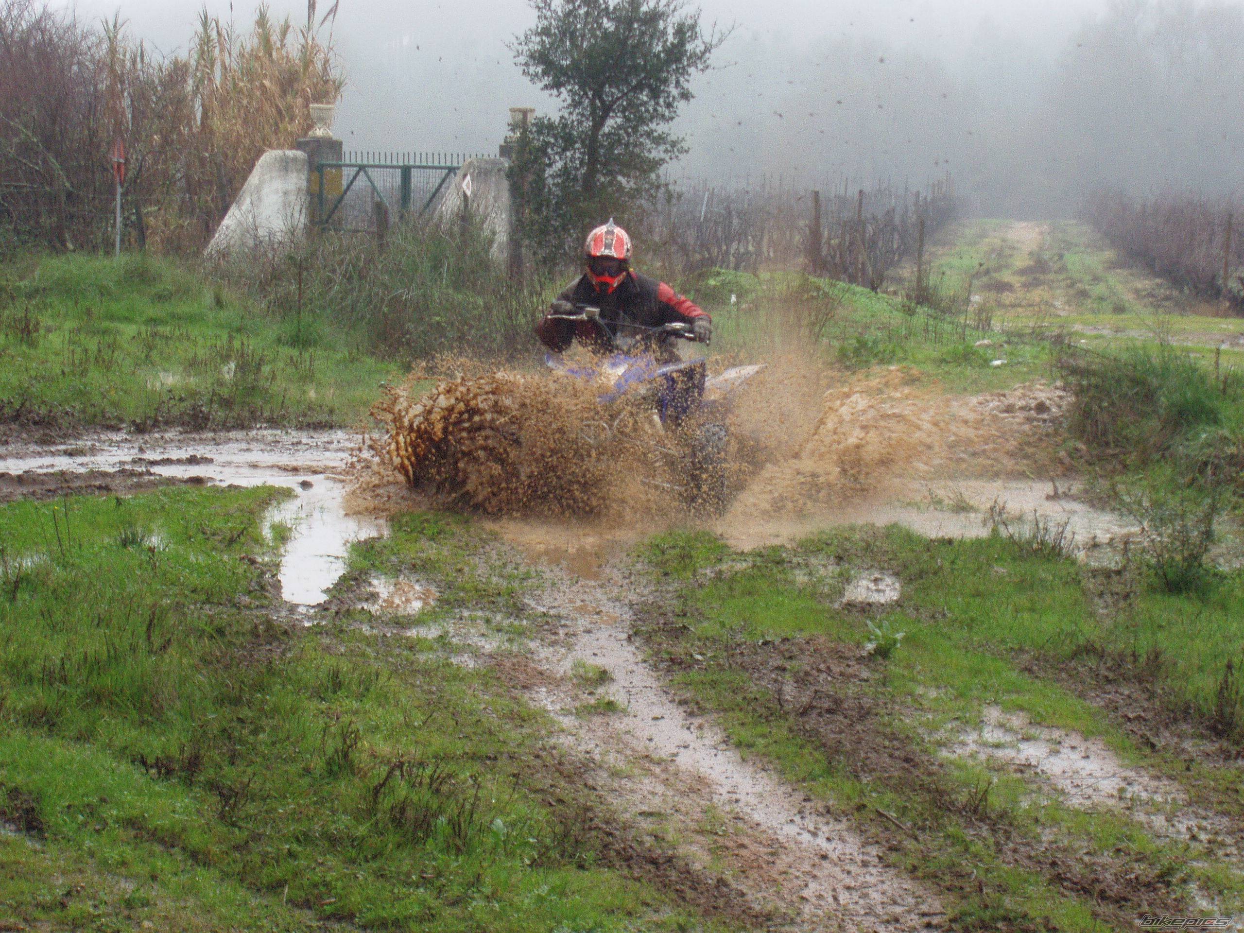 Bike Photo 482232